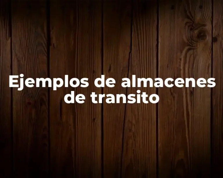 Ejemplos de almacenes de transito