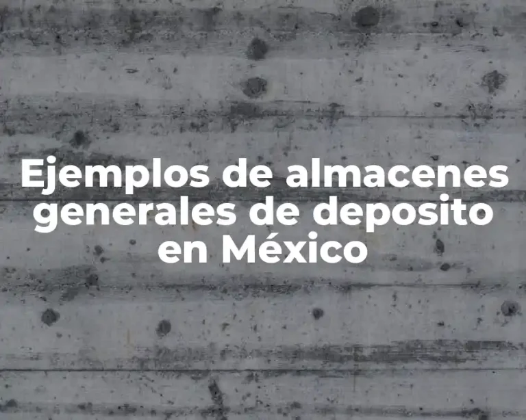 Ejemplos de almacenes generales de deposito en México