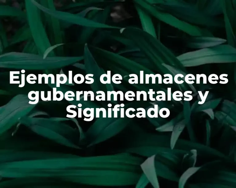 Ejemplos de almacenes gubernamentales y Significado