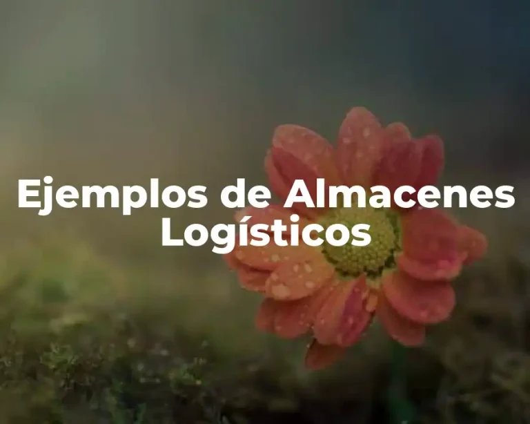 Ejemplos de Almacenes Logísticos