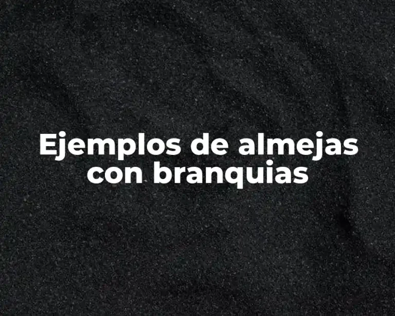 Ejemplos de almejas con branquias