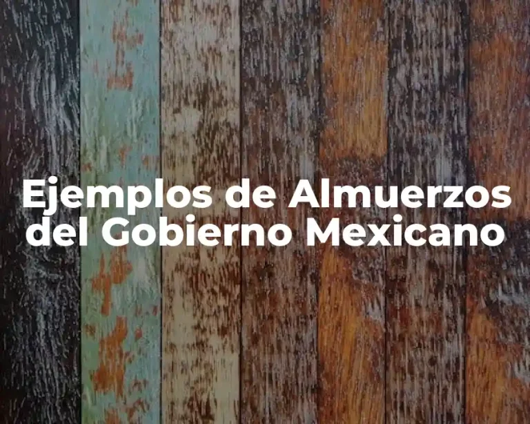 Ejemplos de Almuerzos del Gobierno Mexicano