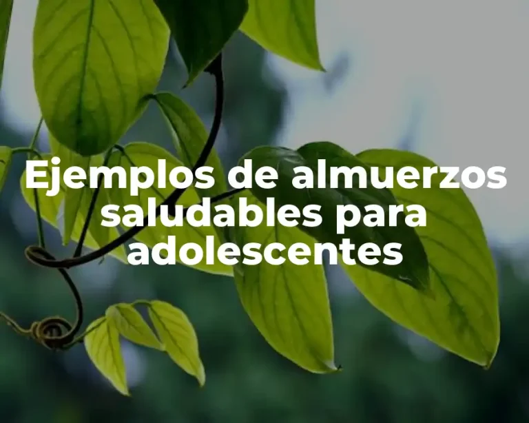 Ejemplos de almuerzos saludables para adolescentes