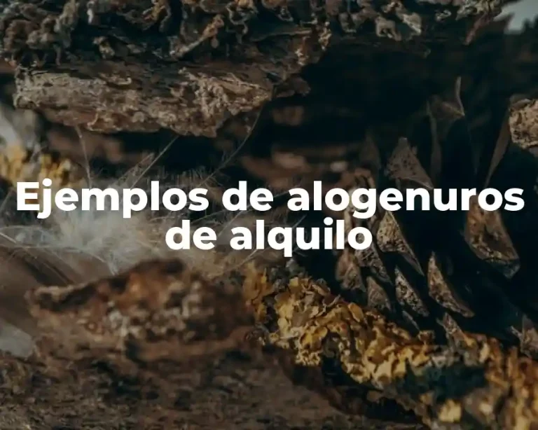 Ejemplos de alogenuros de alquilo