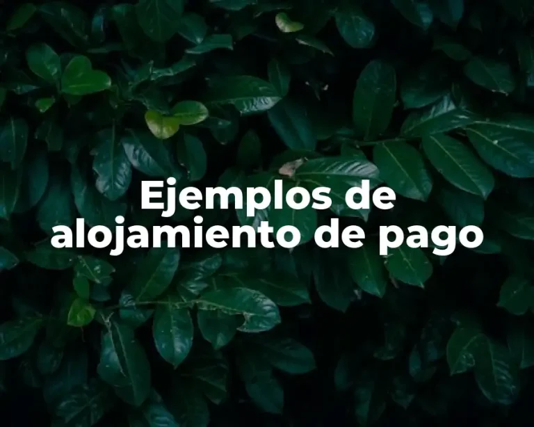 Ejemplos de alojamiento de pago