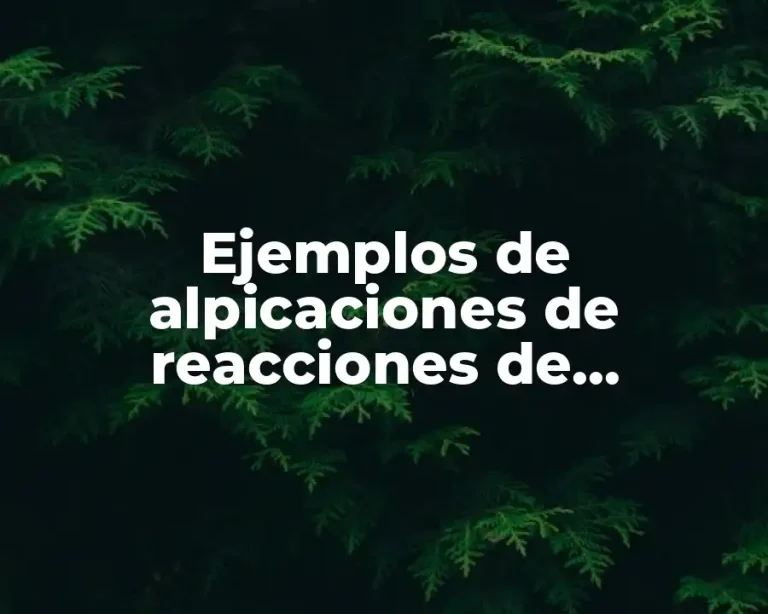 Ejemplos de alpicaciones de reacciones de descomposicion