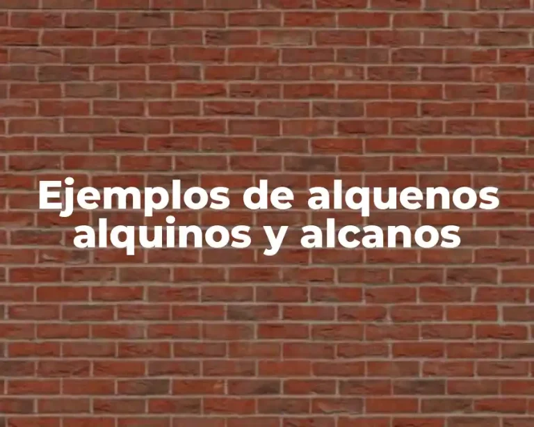 Ejemplos de alquenos alquinos y alcanos