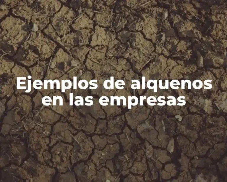 Ejemplos de alquenos en las empresas