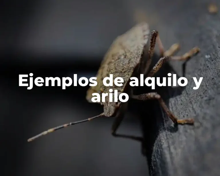 Ejemplos de alquilo y arilo