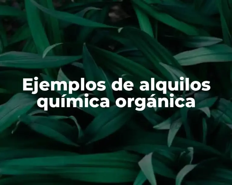 Ejemplos de alquilos química orgánica