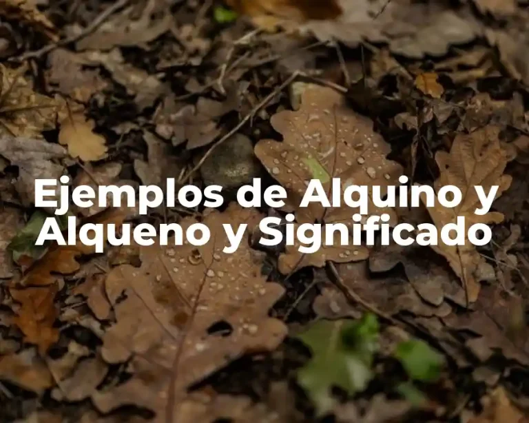 Ejemplos de Alquino y Alqueno y Significado