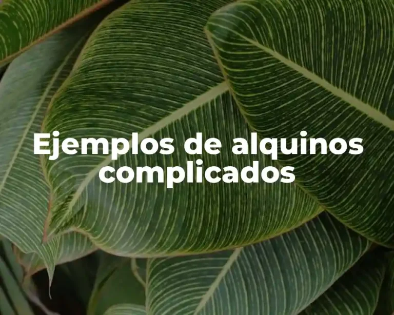 Ejemplos de alquinos complicados
