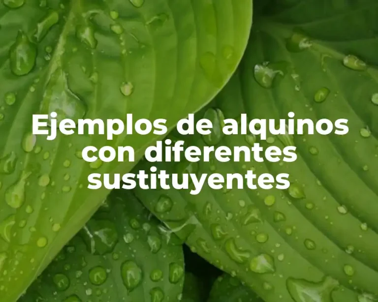 Ejemplos de alquinos con diferentes sustituyentes