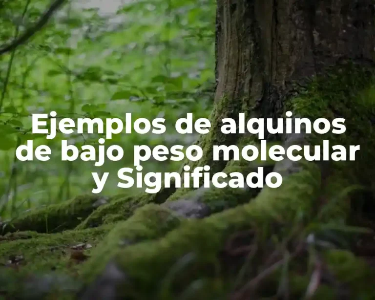 Ejemplos de alquinos de bajo peso molecular y Significado