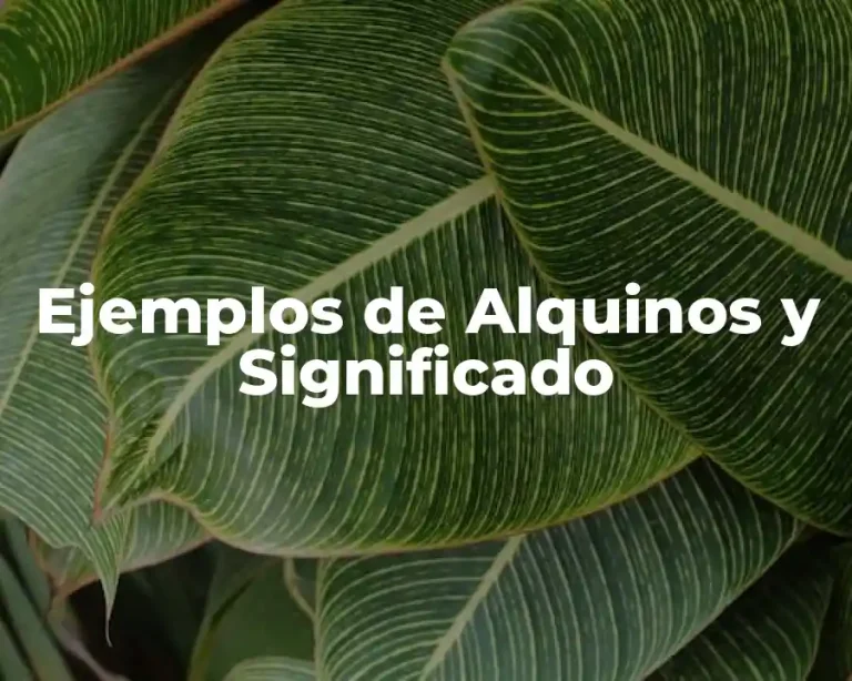 Ejemplos de Alquinos y Significado