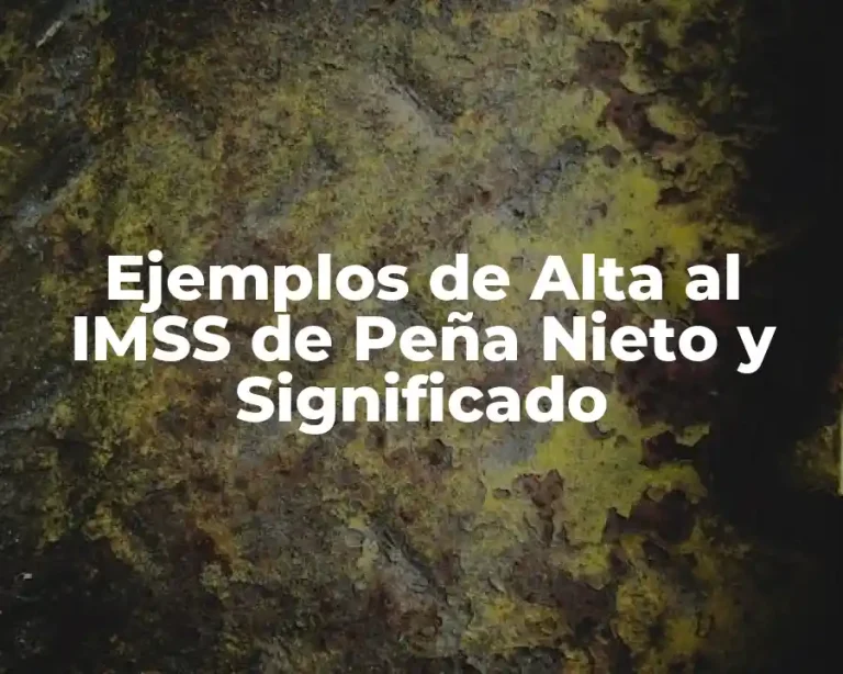 Ejemplos de Alta al IMSS de Peña Nieto y Significado