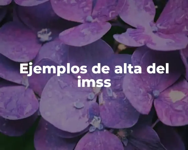 Ejemplos de alta del imss