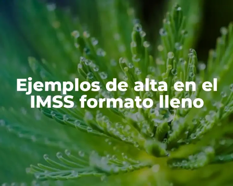 Ejemplos de alta en el IMSS formato lleno