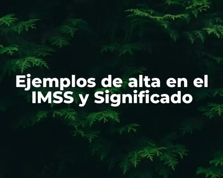 Ejemplos de alta en el IMSS y Significado