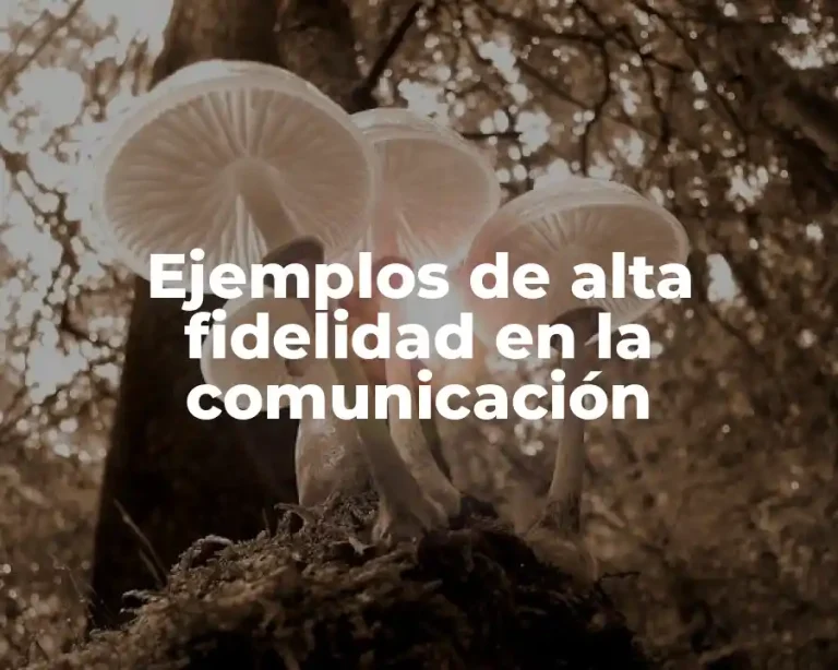 Ejemplos de alta fidelidad en la comunicación