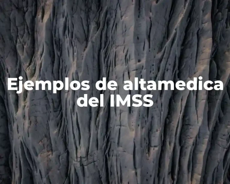 Ejemplos de altamedica del IMSS