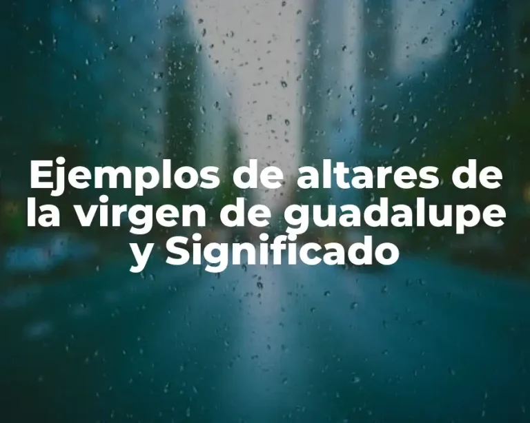 Ejemplos de altares de la virgen de guadalupe y Significado