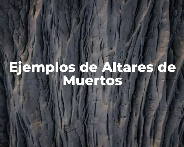 Ejemplos de Altares de Muertos