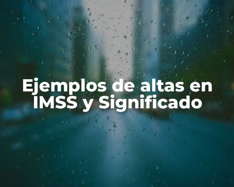 Ejemplos de altas en IMSS y Significado