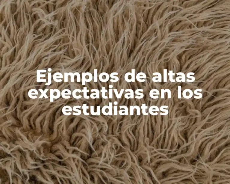 Ejemplos de altas expectativas en los estudiantes