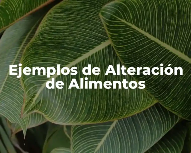 Ejemplos de Alteración de Alimentos