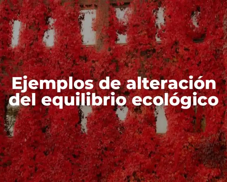 Ejemplos de alteración del equilibrio ecológico