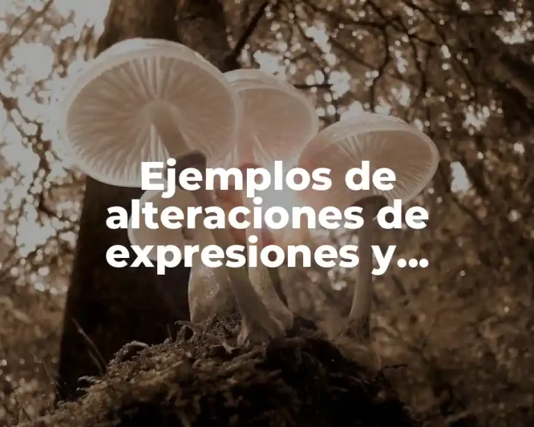 Ejemplos de alteraciones de expresiones y Significado