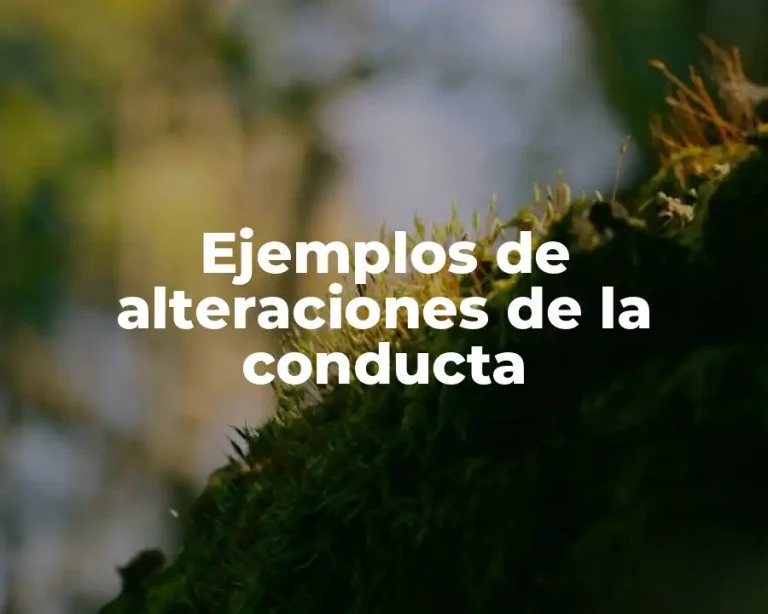 Ejemplos de alteraciones de la conducta