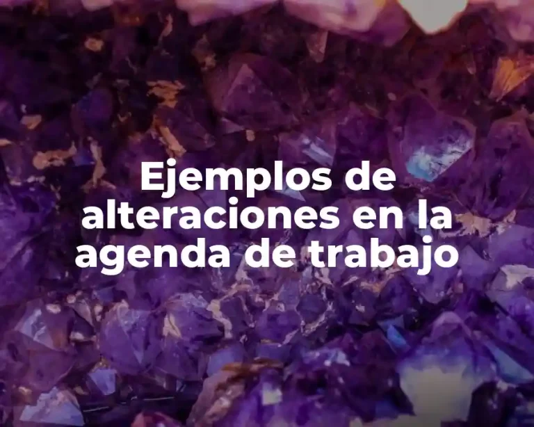 Ejemplos de alteraciones en la agenda de trabajo