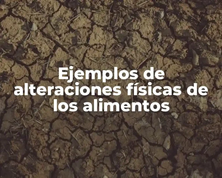 Ejemplos de alteraciones físicas de los alimentos