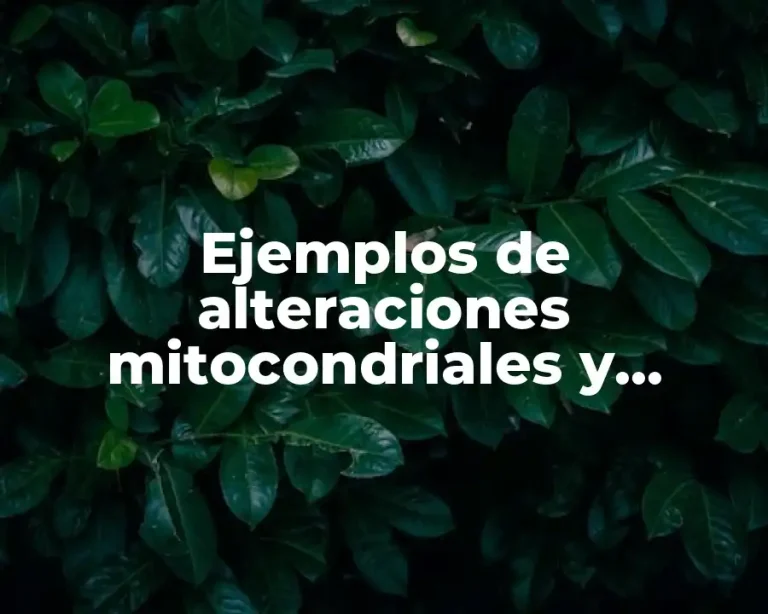 Ejemplos de alteraciones mitocondriales y Significado