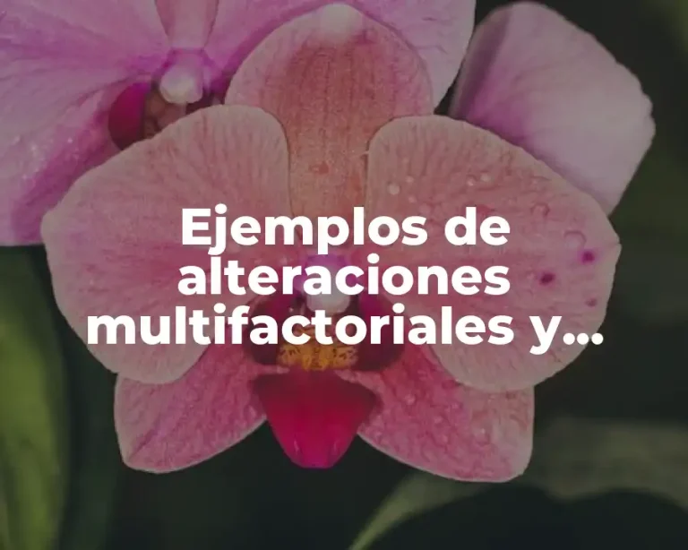 Ejemplos de alteraciones multifactoriales y Significado