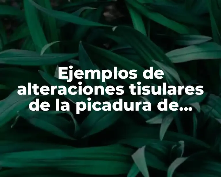 Ejemplos de alteraciones tisulares de la picadura de alacran