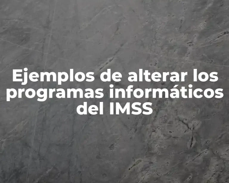 Ejemplos de alterar los programas informáticos del IMSS