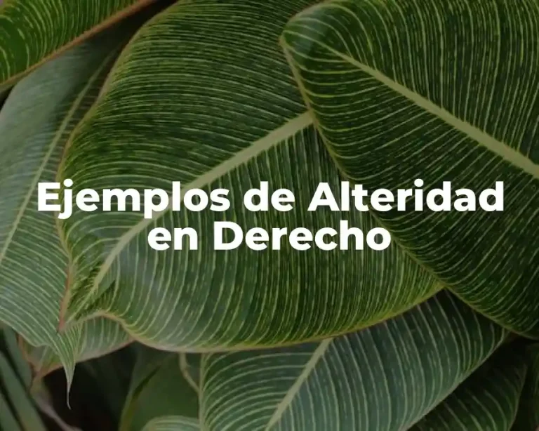 Ejemplos de Alteridad en Derecho