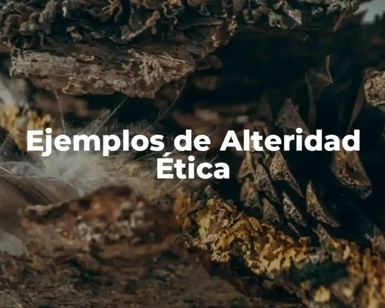 Ejemplos de Alteridad Ética