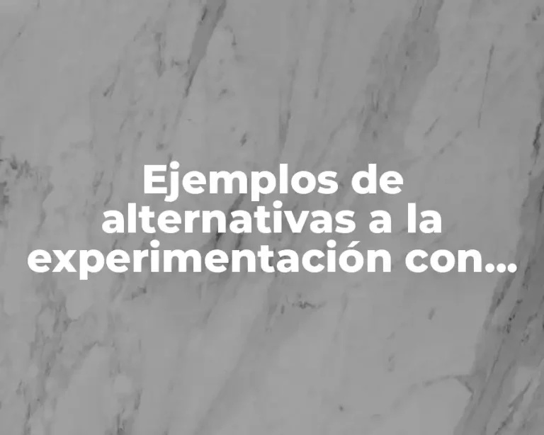 Ejemplos de alternativas a la experimentación con animales
