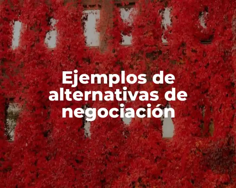 Ejemplos de alternativas de negociación