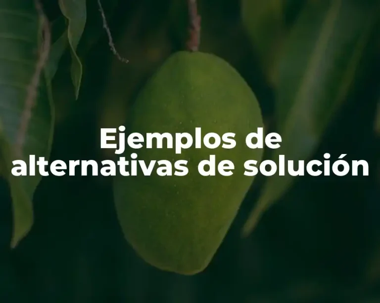 Ejemplos de alternativas de solución