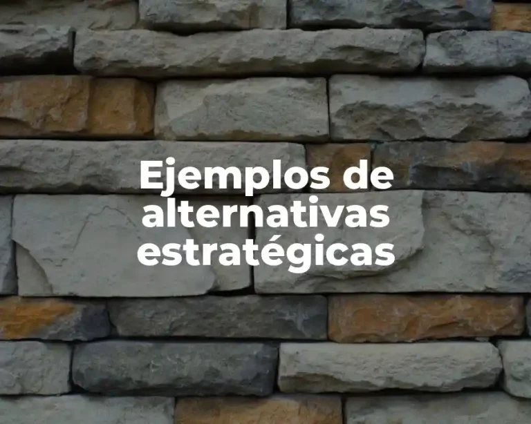 Ejemplos de alternativas estratégicas