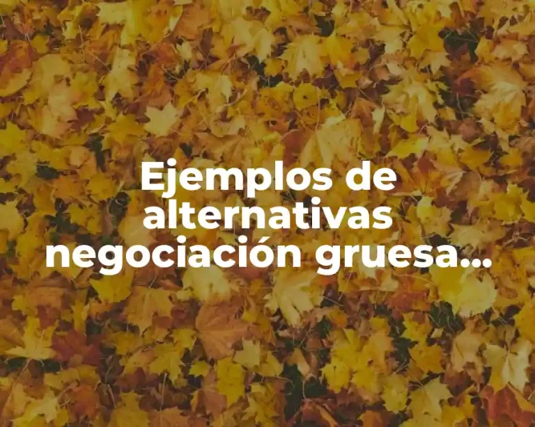 Ejemplos de alternativas negociación gruesa ejemplo