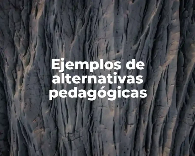 Ejemplos de alternativas pedagógicas