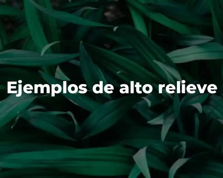 Ejemplos de alto relieve