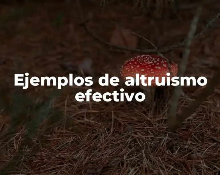Ejemplos de altruismo efectivo