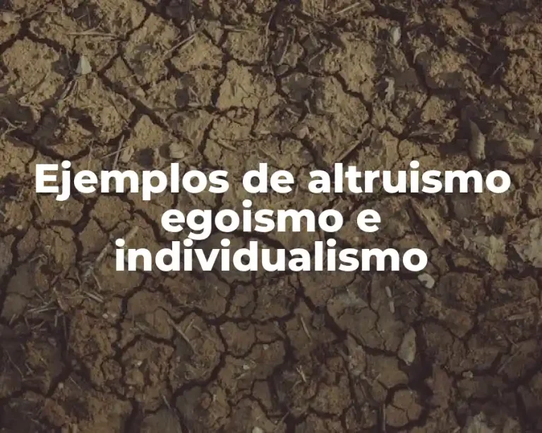Ejemplos de altruismo egoismo e individualismo